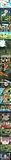 Whats_this__More_captions__by_Misbe.jpg
